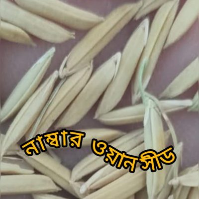 WhatsApp Image 2026-10-13 at 10.34.03 PM