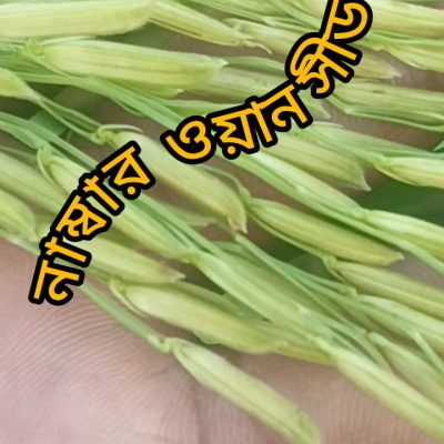 WhatsApp Image 2026-10-13 at 10.34.03 PM